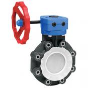 Category High Purity TFM-Lined Bfy Valves, FKM image